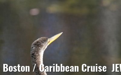 Boston / Caribbean Cruise  JEWEL OF THE SEAS - Florida - October / November 2010 Boston / Caribbean Cruise  JEWEL OF THE SEAS - Florida - October / November 2010