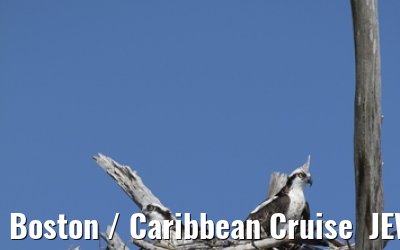 Boston / Caribbean Cruise  JEWEL OF THE SEAS - Florida - October / November 2010 Boston / Caribbean Cruise  JEWEL OF THE SEAS - Florida - October / November 2010