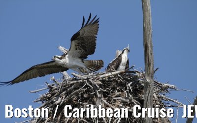 Boston / Caribbean Cruise  JEWEL OF THE SEAS - Florida - October / November 2010 Boston / Caribbean Cruise  JEWEL OF THE SEAS - Florida - October / November 2010