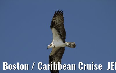 Boston / Caribbean Cruise  JEWEL OF THE SEAS - Florida - October / November 2010 Boston / Caribbean Cruise  JEWEL OF THE SEAS - Florida - October / November 2010