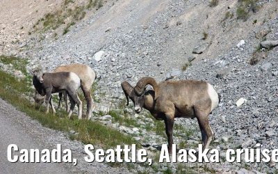 Canada, Seattle, Alaska cruise CELEBRITY INFINITY August 2008 Canada, Seattle, Alaska cruise CELEBRITY INFINITY August 2008