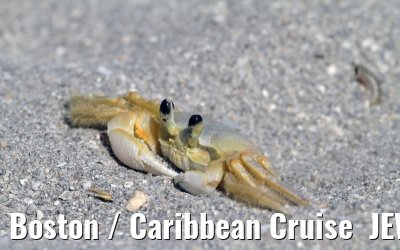 Boston / Caribbean Cruise  JEWEL OF THE SEAS - Florida - October / November 2010 Boston / Caribbean Cruise  JEWEL OF THE SEAS - Florida - October / November 2010