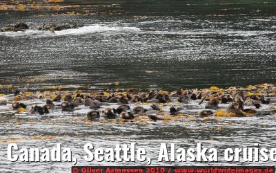 Canada, Seattle, Alaska cruise CELEBRITY INFINITY August 2008 Canada, Seattle, Alaska cruise CELEBRITY INFINITY August 2008