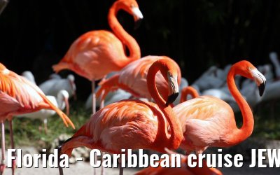 Florida - Caribbean cruise JEWEL OF THE SEAS / New York in December 2007 Florida - Caribbean cruise JEWEL OF THE SEAS / New York in December 2007