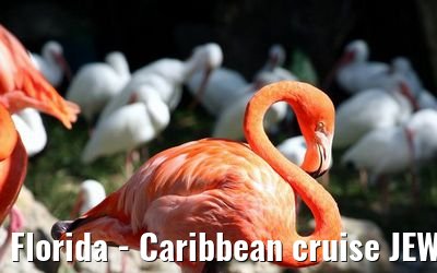 Florida - Caribbean cruise JEWEL OF THE SEAS / New York in December 2007 Florida - Caribbean cruise JEWEL OF THE SEAS / New York in December 2007