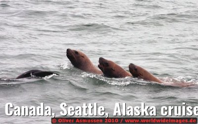 Canada, Seattle, Alaska cruise CELEBRITY INFINITY August 2008 Canada, Seattle, Alaska cruise CELEBRITY INFINITY August 2008