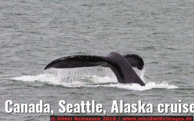 Canada, Seattle, Alaska cruise CELEBRITY INFINITY August 2008 Canada, Seattle, Alaska cruise CELEBRITY INFINITY August 2008