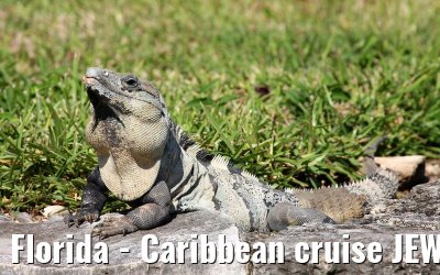 Florida - Caribbean cruise JEWEL OF THE SEAS / New York in December 2007 Florida - Caribbean cruise JEWEL OF THE SEAS / New York in December 2007