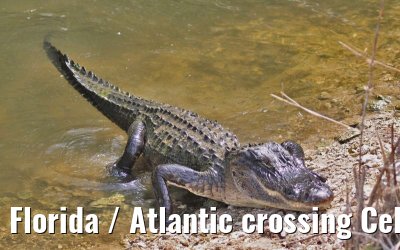 Florida / Atlantic crossing Celebrity Constellation April/May 2009 Florida / Atlantic crossing Celebrity Constellation April/May 2009