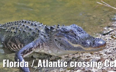 Florida / Atlantic crossing Celebrity Constellation April/May 2009 Florida / Atlantic crossing Celebrity Constellation April/May 2009