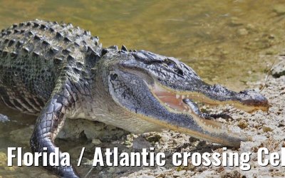 Florida / Atlantic crossing Celebrity Constellation April/May 2009 Florida / Atlantic crossing Celebrity Constellation April/May 2009