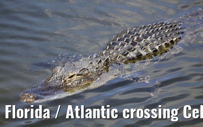 Florida / Atlantic crossing Celebrity Constellation April/May 2009 Florida / Atlantic crossing Celebrity Constellation April/May 2009