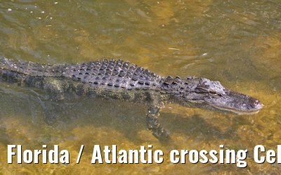 Florida / Atlantic crossing Celebrity Constellation April/May 2009 Florida / Atlantic crossing Celebrity Constellation April/May 2009