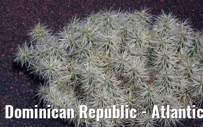 Dominican Republic - Atlantic crossing LEGEND OF THE SEAS March / April 2008 Dominican Republic - Atlantic crossing LEGEND OF THE SEAS March / April 2008