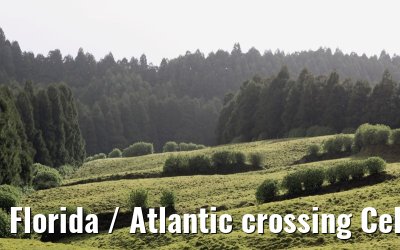 Florida / Atlantic crossing Celebrity Constellation April/May 2009 Florida / Atlantic crossing Celebrity Constellation April/May 2009