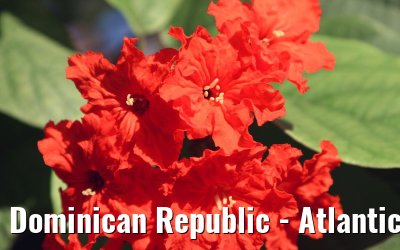 Dominican Republic - Atlantic crossing LEGEND OF THE SEAS March / April 2008 Dominican Republic - Atlantic crossing LEGEND OF THE SEAS March / April 2008