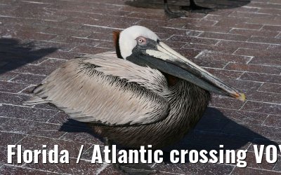 Florida / Atlantic crossing VOYAGER OF THE SEAS - April / May 2007 Florida / Atlantic crossing VOYAGER OF THE SEAS - April / May 2007