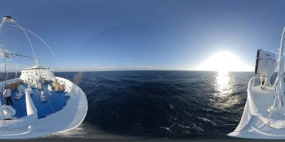 Bugblick Ocean Majesty
