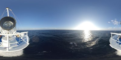 Bugblick Ocean Majesty