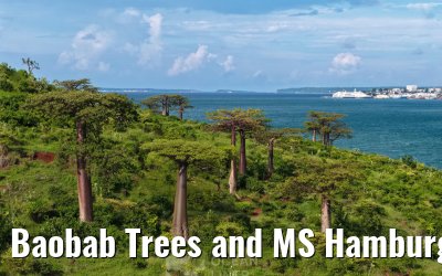 Baobab Trees and MS Hamburg Antsiranana, Madagascar