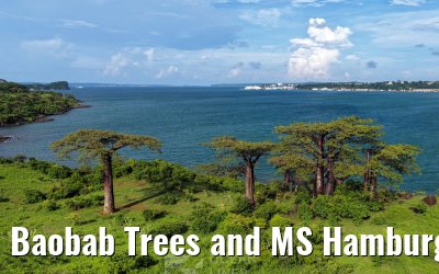 Baobab Trees and MS Hamburg Antsiranana, Madagascar
