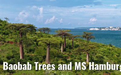 Baobab Trees and MS Hamburg Antsiranana, Madagascar