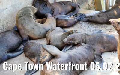 Cape Town Waterfront 05.02.2026