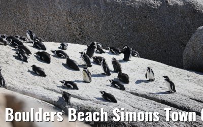 Boulders Beach Simons Town 06.02.2026