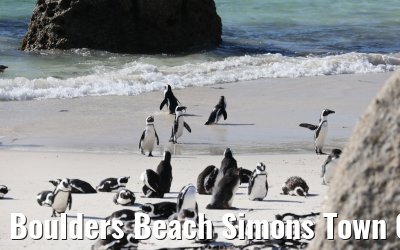 Boulders Beach Simons Town 06.02.2026