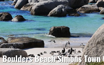 Boulders Beach Simons Town 06.02.2026