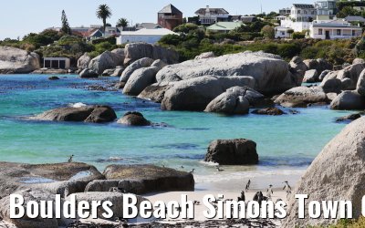 Boulders Beach Simons Town 06.02.2026