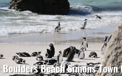 Boulders Beach Simons Town 06.02.2026