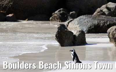 Boulders Beach Simons Town 06.02.2026
