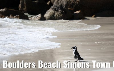 Boulders Beach Simons Town 06.02.2026