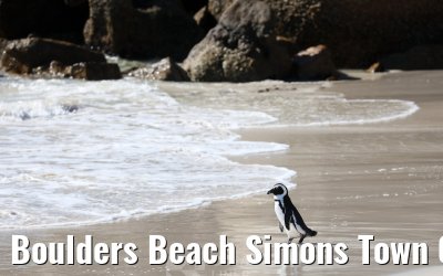 Boulders Beach Simons Town 06.02.2026