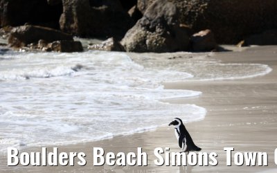 Boulders Beach Simons Town 06.02.2026