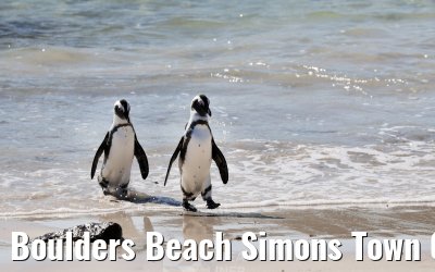 Boulders Beach Simons Town 06.02.2026