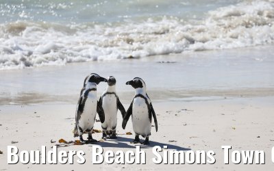 Boulders Beach Simons Town 06.02.2026