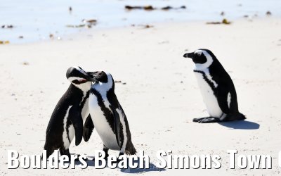 Boulders Beach Simons Town 06.02.2026