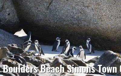 Boulders Beach Simons Town 06.02.2026