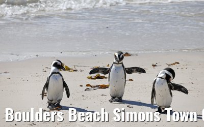 Boulders Beach Simons Town 06.02.2026