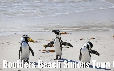 Boulders Beach Simons Town 06.02.2026