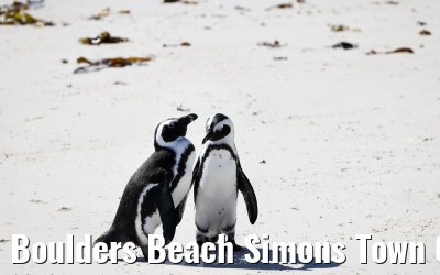 Boulders Beach Simons Town 06.02.2026