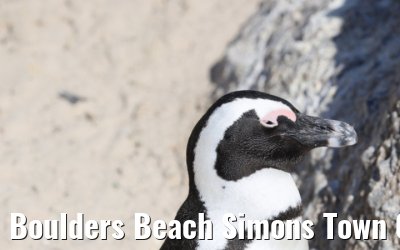 Boulders Beach Simons Town 06.02.2026