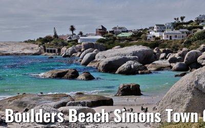 Boulders Beach Simons Town 06.02.2026
