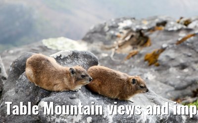 Table Mountain views and impressions 07.02.2026