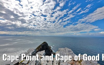 Cape Point and Cape of Good Hope 08.02.2026