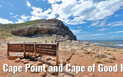 Cape Point and Cape of Good Hope 08.02.2026
