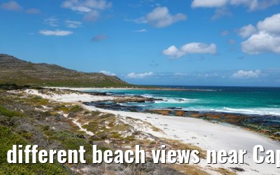 different beach views near Cape Point 08.02.2026