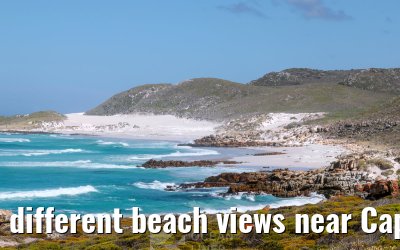 different beach views near Cape Point 08.02.2026